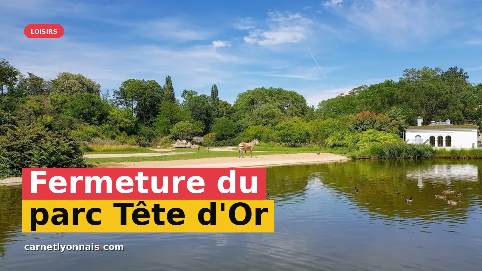 Fermeture prolongée du parc de la Tête d'Or suite aux orages — photo John Disandolo